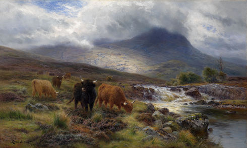 'The Highlands'